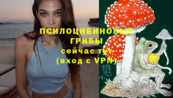 дживик Армянск