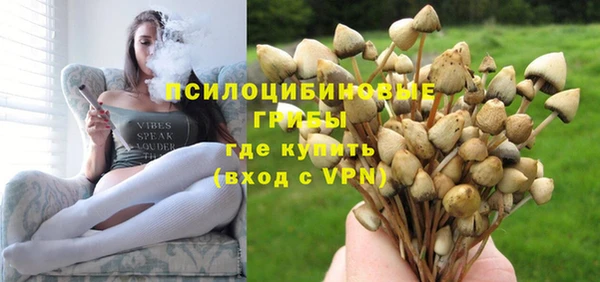 таблы Аркадак