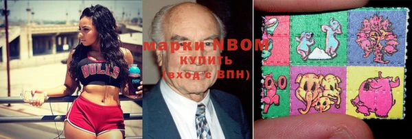 стаф Арсеньев